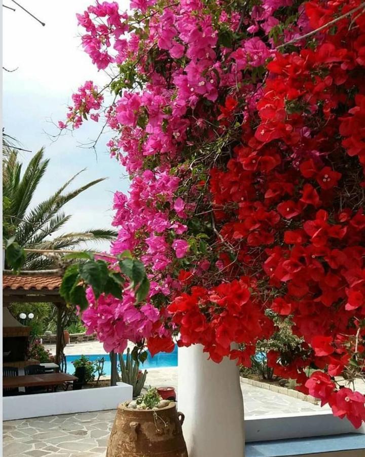 Villa Pari Manda Agios Prokopios  Esterno foto