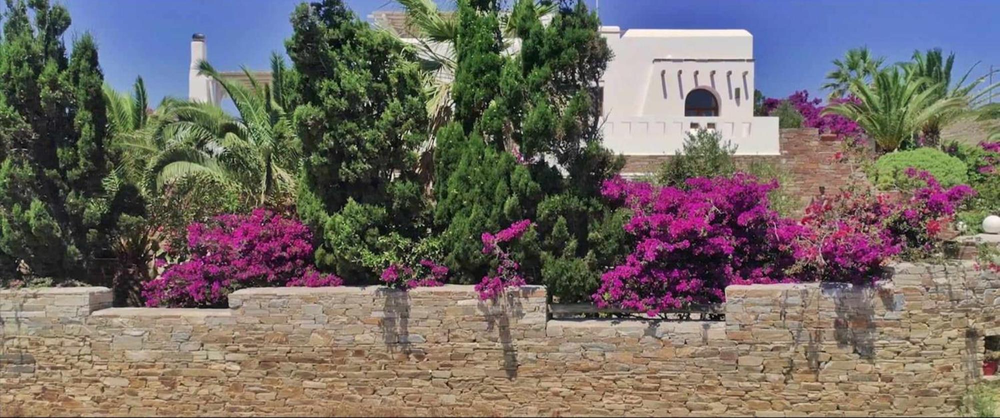 Villa Pari Manda Agios Prokopios  Esterno foto